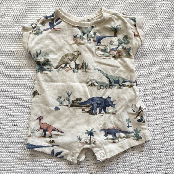 Little Planet Organic by Carter's Dinosaur Romper - Picture 1 of 3